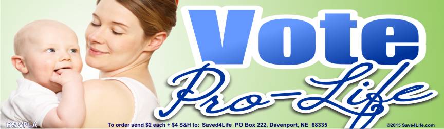 Vote Pro Life (Mom & Babe) 3.5x12 Bumper Sticker - Click Image to Close